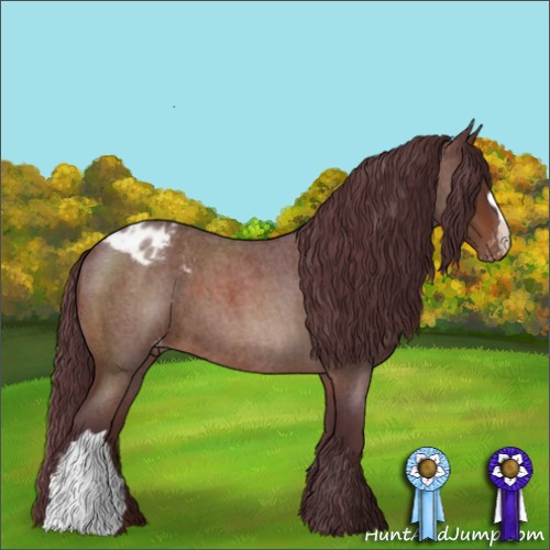 Horse Color:Chocolate Bay Roan Appaloosa 