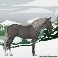 Horse Color:Silver Blue Roan Sabino 