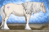 Horse Color:Cremello 