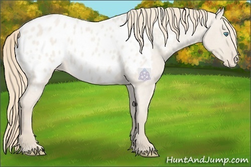 Horse Color:Smoky Creme Roan Dun Blanket 