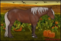 Horse Color:Silver Brown 