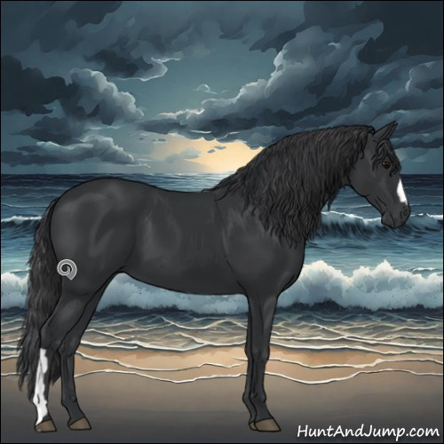 Horse Color:Black 