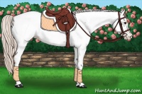 Horse Color:Silver Bay Appaloosa 