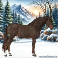 Horse Color:Liver Chestnut Sabino 