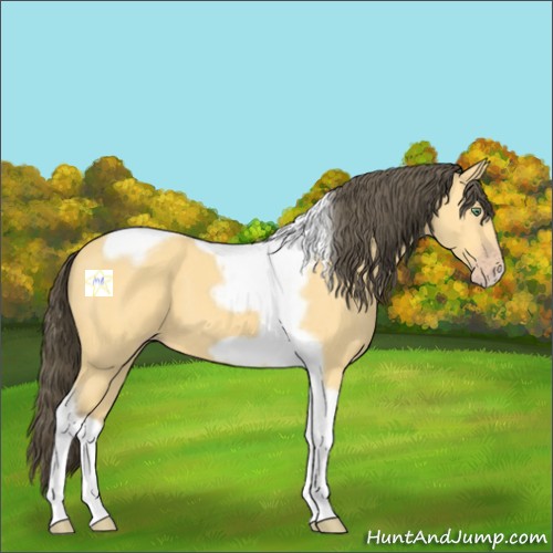 Horse Color:Amber Cream Champagne Tobiano Frame