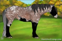 Horse Color:Brown Ice Splash