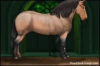 Horse Color:Bay Roan 