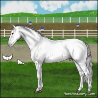 Horse Color:White Spotted Grullo Appaloosa Rabicano  and Gray White Spotted Grullo Appaloosa Rabicano 