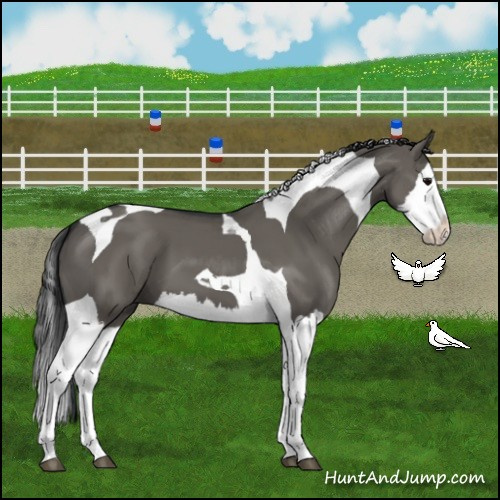 Horse Color:Grullo Splash Tobiano 