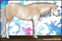 Horse Color:Chocolate Palomino Pearl Sabino Appaloosa Rabicano  and Chocolate Palomino Pearl Sabino Splash Appaloosa Rabicano 