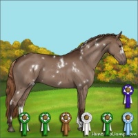 Horse Color:White Spotted Liver Chestnut Sabino 