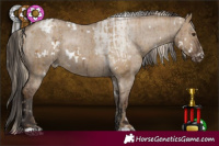 Horse Color:White Spotted Chocolate Palomino Dun Appaloosa Rabicano Brindle  and White Spotted Liver Red Dun Appaloosa Rabicano Brindle 