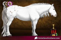 Horse Color:White Spotted Chocolate Palomino Dun Appaloosa Rabicano Brindle  and White Spotted Liver Red Dun Appaloosa Rabicano Brindle 
