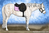 Horse Color:Chocolate Palomino Pearl Sabino Appaloosa Rabicano  and Chocolate Palomino Pearl Sabino Appaloosa Rabicano 