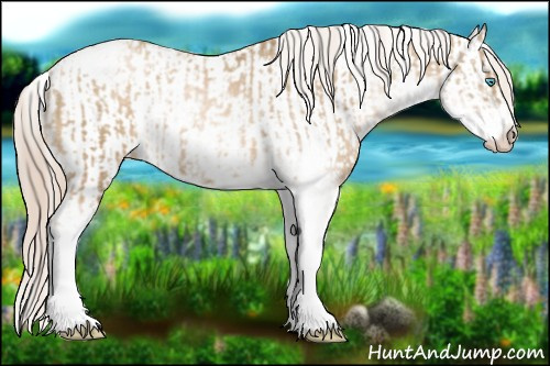 Horse Color:Chocolate Palomino Pearl Sabino Varnish Rabicano  and Chocolate Palomino Pearl Sabino Varnish Rabicano 