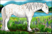 Horse Color:Chocolate Palomino Pearl Sabino Appaloosa Rabicano  and Chocolate Palomino Pearl Sabino Appaloosa Rabicano 