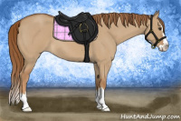 Horse Color:Red Dun Roan Splash 
