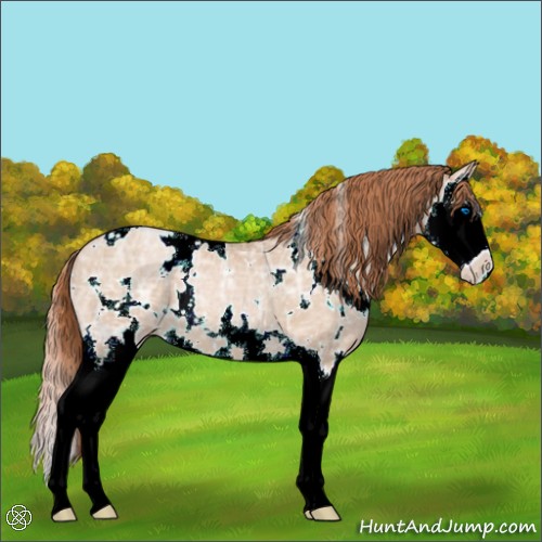 Horse Color:White Spotted Buckskin Ice Pearl Sabino Splash 