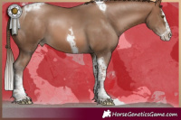 Horse Color:Brown Pearl Splash Tobiano 