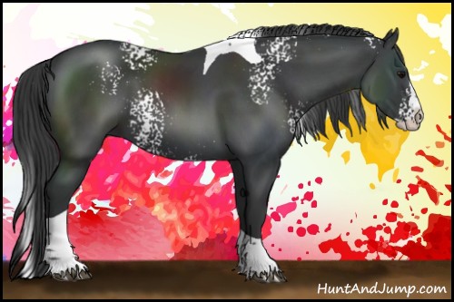 Horse Color:White Spotted Black Splash Tobiano 