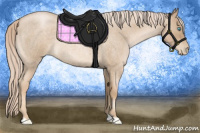 Horse Color:Chocolate Palomino Roan Pearl