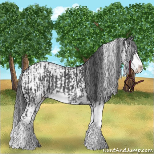 Horse Color:Black Sabino Appaloosa Rabicano  and Black Sabino Appaloosa Rabicano 
