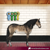 Horse Color:Gray Brown Dun Sabino Brindle 
