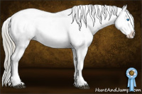 Horse Color:Chocolate Palomino Dun Mushroom Sabino Splash Appaloosa Rabicano Brindle  and Liver Red Dun Mushroom Sabino Splash Appaloosa Rabicano Brindle 