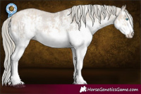 Horse Color:Chocolate Palomino Dun Mushroom Sabino Splash Appaloosa Rabicano Brindle and Liver Red Dun Mushroom Sabino Splash Appaloosa Rabicano Brindle