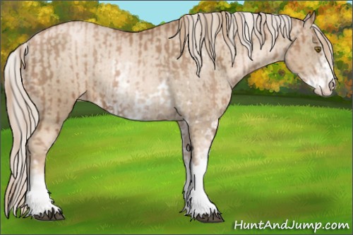 Horse Color:Liver Chestnut Pearl Sabino Appaloosa Rabicano  and Chocolate Palomino Pearl Sabino Appaloosa Rabicano 