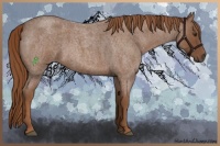 Horse Color:Red Roan 