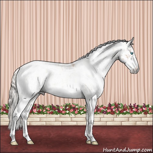 Horse Color:Chocolate Palomino Pearl Sabino Varnish Rabicano  and Gray Chocolate Palomino Pearl Sabino Varnish Rabicano 