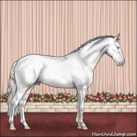 Horse Color:Chocolate Palomino Pearl Sabino Appaloosa Rabicano and Gray Chocolate Palomino Pearl Sabino Appaloosa Rabicano