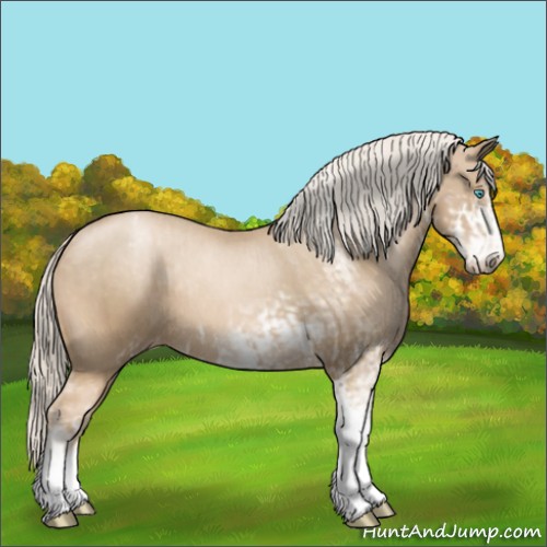 Horse Color:Chocolate Palomino Pearl Sabino Appaloosa Rabicano  and Chocolate Palomino Pearl Sabino Appaloosa Rabicano 