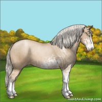 Horse Color:Chocolate Palomino Pearl Sabino Appaloosa Rabicano  and Chocolate Palomino Pearl Sabino Appaloosa Rabicano 
