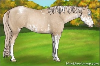 Horse Color:Chocolate Palomino Pearl Sabino Tobiano Varnish Rabicano  and Chocolate Palomino Pearl Sabino Varnish Rabicano 