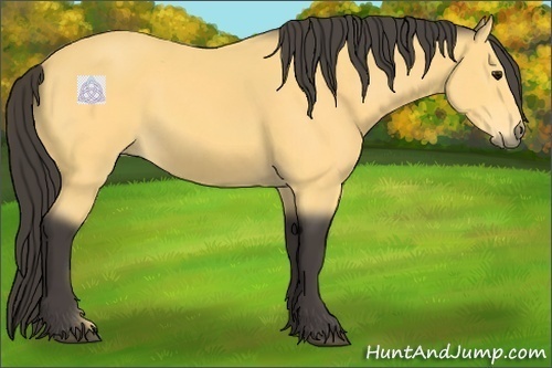 Horse Color:Buckskin 