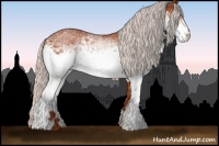Horse Color:White Spotted Silver Bay 