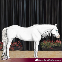 Horse Color:Chocolate Palomino Pearl Sabino Varnish Rabicano and Chocolate Palomino Pearl Sabino Varnish Rabicano