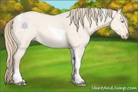 Horse Color:Perlino Dun Tobiano 