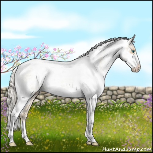 Horse Color:Chocolate Palomino Pearl Dun Sabino Appaloosa Rabicano  and Chocolate Palomino Pearl Dun Sabino Appaloosa Rabicano 