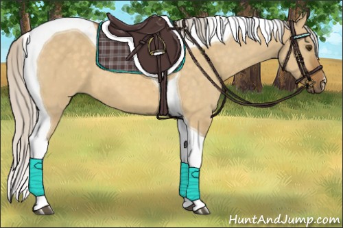 Horse Color:Silver Buckskin Dun Tobiano 