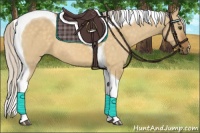 Horse Color:Silver Buckskin Dun Tobiano 
