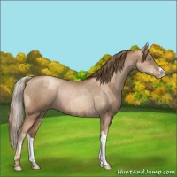 Horse Color:Chocolate Palomino Pearl Varnish Rabicano  and Liver Chestnut Pearl Varnish Rabicano 
