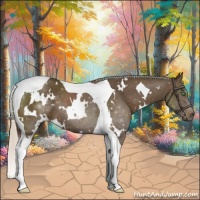 Horse Color:White Spotted Silver Smoky Black Tobiano