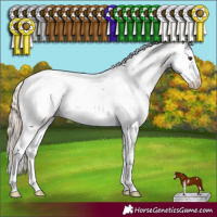 Horse Color:Chocolate Palomino Sabino