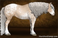 Horse Color:Chocolate Palomino Pearl Sabino Appaloosa Rabicano  and Chocolate Palomino Pearl Sabino Splash Appaloosa Rabicano 