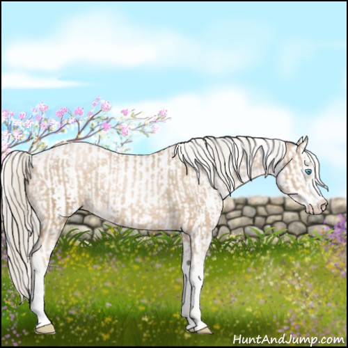 Horse Color:Chocolate Palomino Pearl Sabino Appaloosa Rabicano  and Chocolate Palomino Pearl Sabino Appaloosa Rabicano 