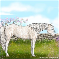 Horse Color:Chocolate Palomino Pearl Sabino Appaloosa Rabicano  and Chocolate Palomino Pearl Sabino Appaloosa Rabicano 