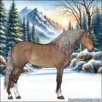 Horse Color:Silver Brown Dun Sabino Brindle 